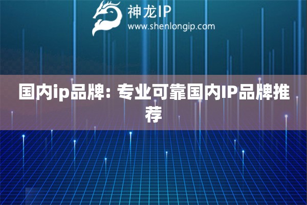 國內(nèi)ip品牌: 專業(yè)可靠國內(nèi)IP品牌推薦