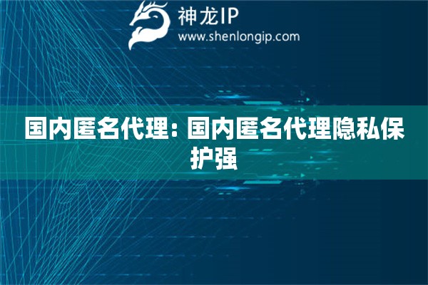 國內匿名代理: 國內匿名代理隱私保護強