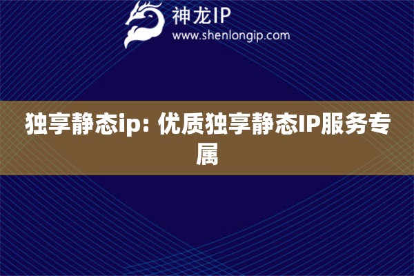 獨享靜態ip: 優質獨享靜態IP服務專屬