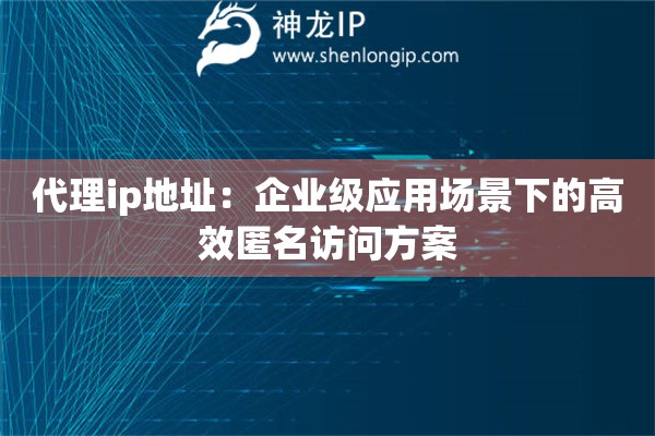 代理ip地址：企業級應用場景下的高效匿名訪問方案