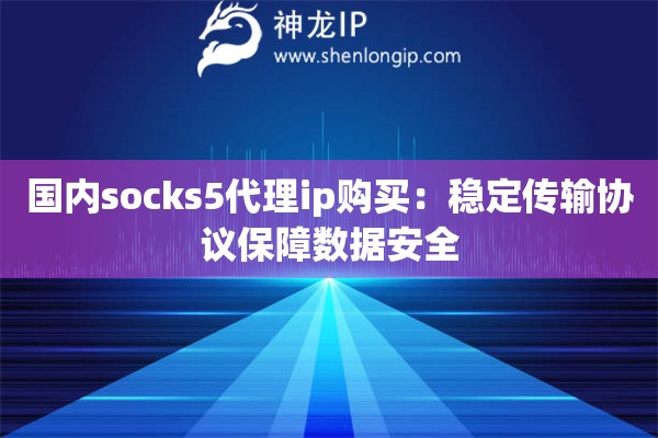 國內socks5代理ip購買：穩定傳輸協議保障數據安全