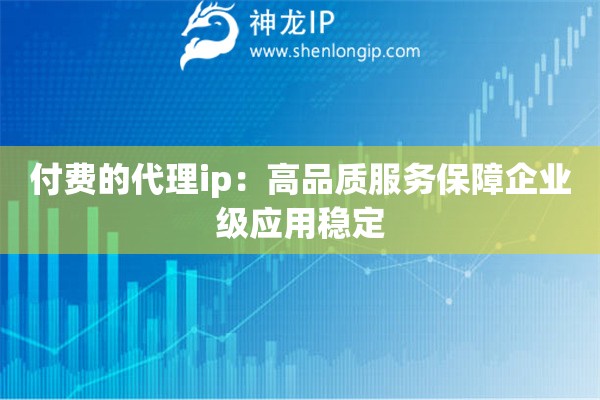 付費的代理ip：高品質服務保障企業級應用穩定