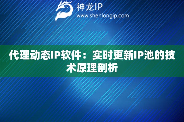 代理動態IP軟件：實時更新IP池的技術原理剖析