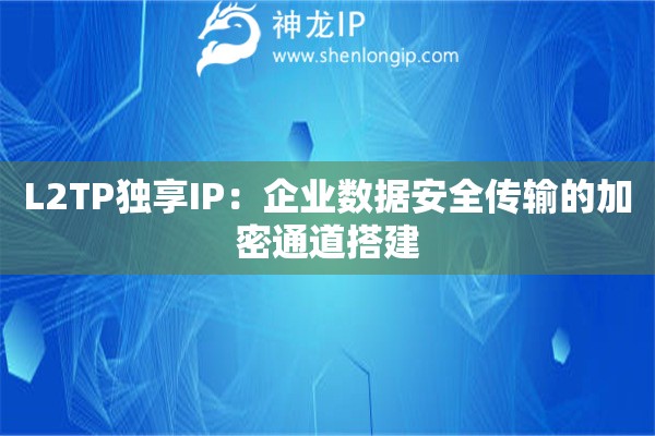 L2TP獨享IP：企業數據安全傳輸的加密通道搭建