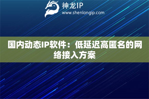 國內動態IP軟件：低延遲高匿名的網絡接入方案