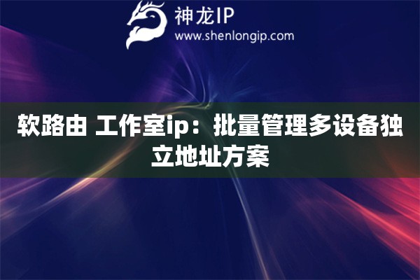 軟路由 工作室ip：批量管理多設備獨立地址方案