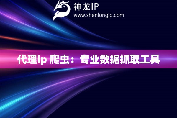 代理ip 爬蟲：專業(yè)數(shù)據(jù)抓取工具
