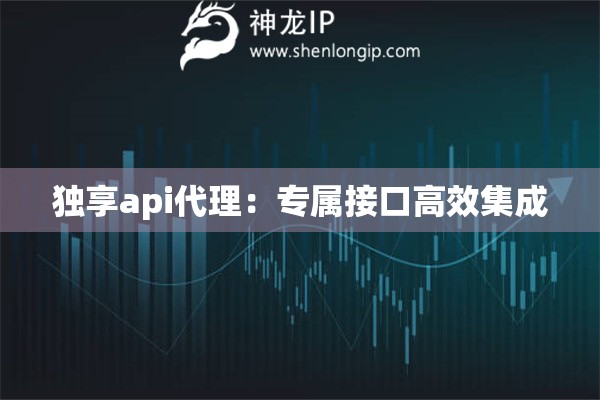 獨享api代理：專屬接口高效集成