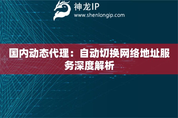 國內(nèi)動態(tài)代理：自動切換網(wǎng)絡(luò)地址服務(wù)深度解析