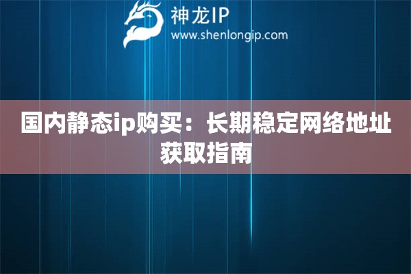 國內(nèi)靜態(tài)ip購買：長期穩(wěn)定網(wǎng)絡(luò)地址獲取指南
