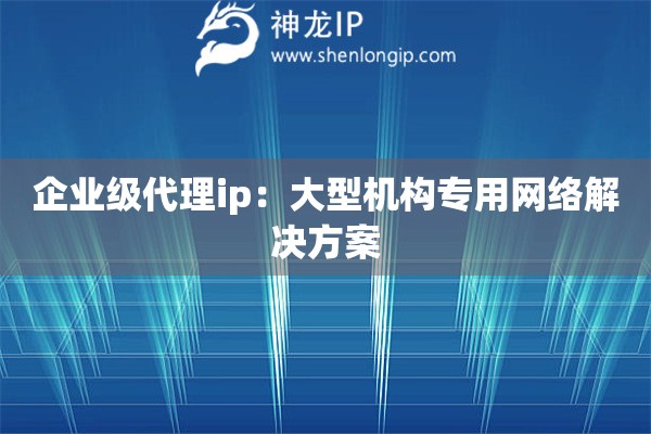 企業級代理ip：大型機構專用網絡解決方案