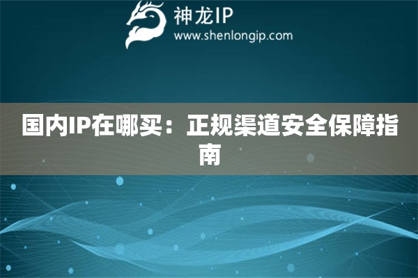 國內IP在哪買：正規渠道安全保障指南