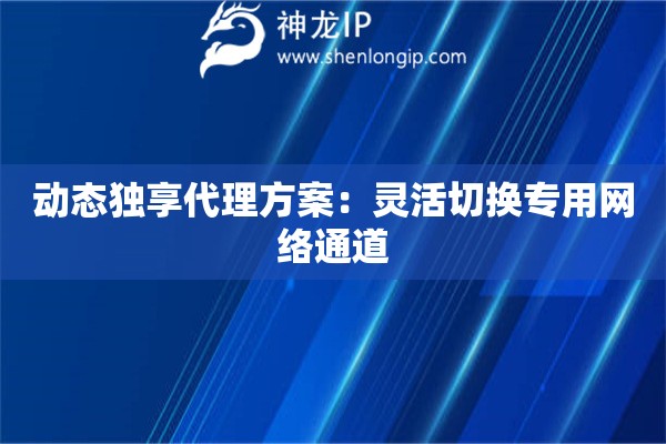 動態獨享代理方案：靈活切換專用網絡通道