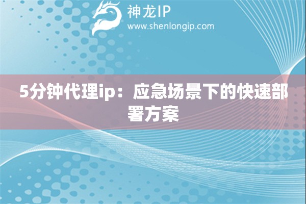 5分鐘代理ip：應急場景下的快速部署方案