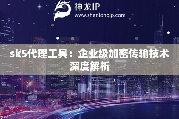 sk5代理工具：企業級加密傳輸技術深度解析