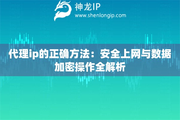 代理ip的正確方法：安全上網與數據加密操作全解析