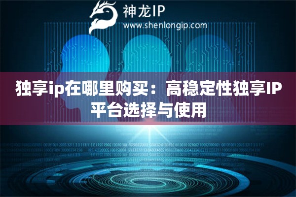 獨享ip在哪里購買：高穩定性獨享IP平臺選擇與使用
