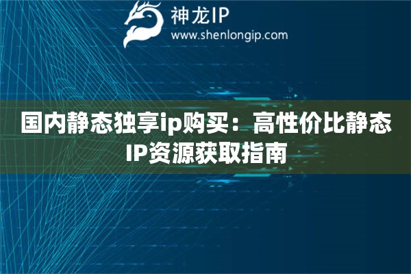 國內靜態獨享ip購買：高性價比靜態IP資源獲取指南