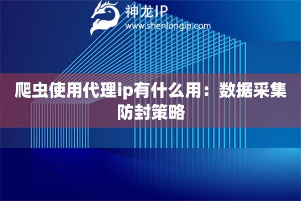 爬蟲使用代理ip有什么用：數(shù)據(jù)采集防封策略