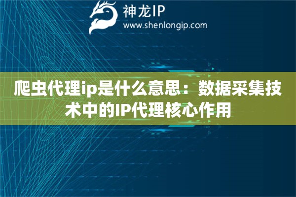 爬蟲代理ip是什么意思：數據采集技術中的IP代理核心作用