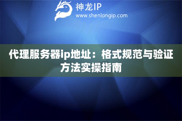 代理服務器ip地址：格式規范與驗證方法實操指南