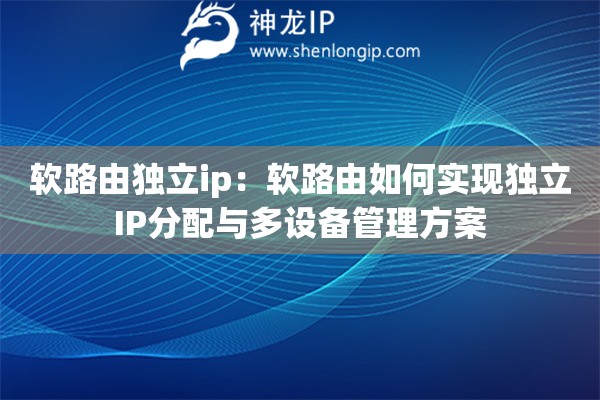 軟路由獨立ip：軟路由如何實現獨立IP分配與多設備管理方案