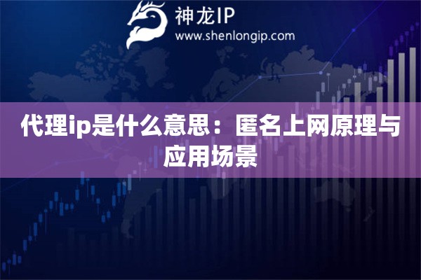 代理ip是什么意思：匿名上網(wǎng)原理與應(yīng)用場(chǎng)景