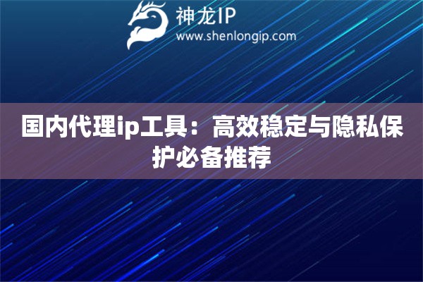 國內(nèi)代理ip工具：高效穩(wěn)定與隱私保護必備推薦