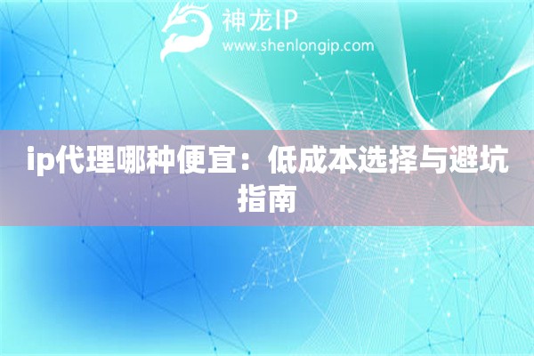 ip代理哪種便宜：低成本選擇與避坑指南