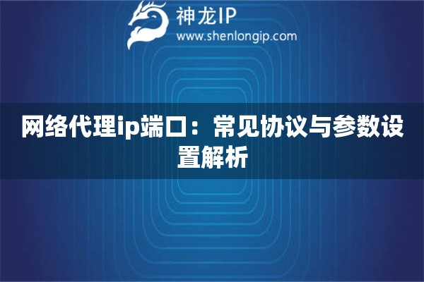 網(wǎng)絡(luò)代理ip端口：常見(jiàn)協(xié)議與參數(shù)設(shè)置解析