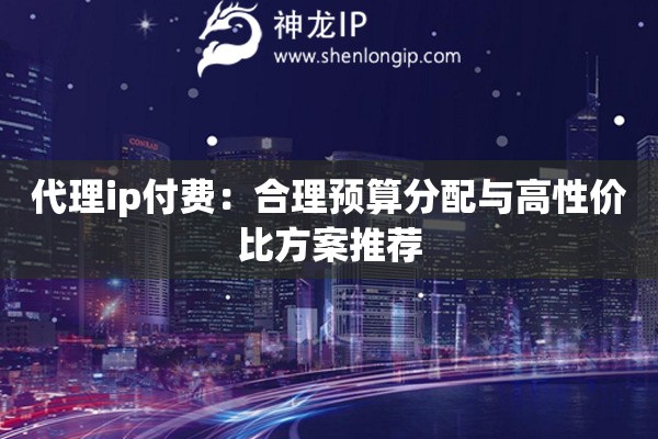 代理ip付費：合理預算分配與高性價比方案推薦