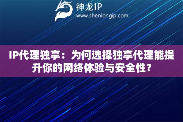 IP代理獨享：為何選擇獨享代理能提升你的網絡體驗與安全性？