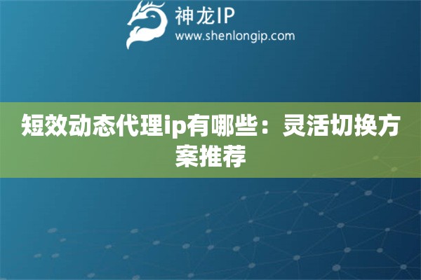短效動態代理ip有哪些：靈活切換方案推薦