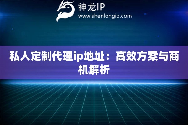 私人定制代理ip地址：高效方案與商機(jī)解析