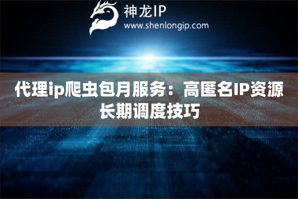 代理ip爬蟲包月服務：高匿名IP資源長期調度技巧