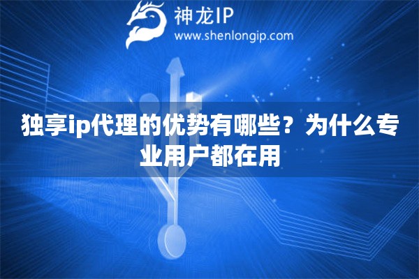獨享ip代理的優勢有哪些？為什么專業用戶都在用
