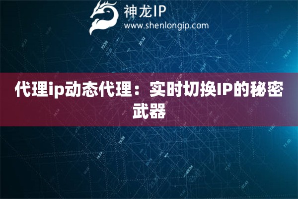 代理ip動態代理：實時切換IP的秘密武器
