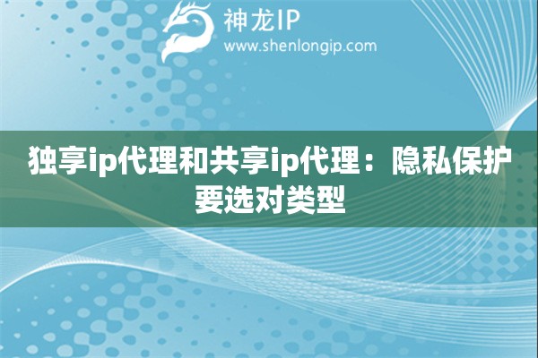 獨享ip代理和共享ip代理：隱私保護要選對類型