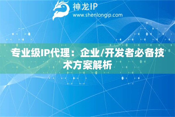 專業(yè)級IP代理：企業(yè)/開發(fā)者必備技術(shù)方案解析