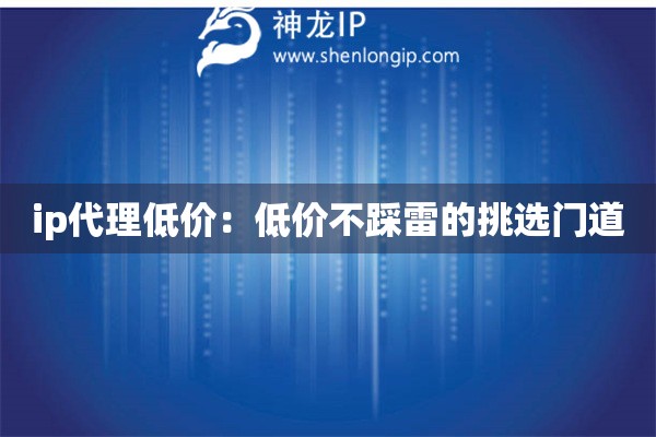 ip代理低價：低價不踩雷的挑選門道