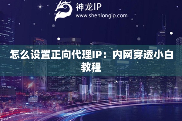 怎么設置正向代理IP：內網(wǎng)穿透小白教程