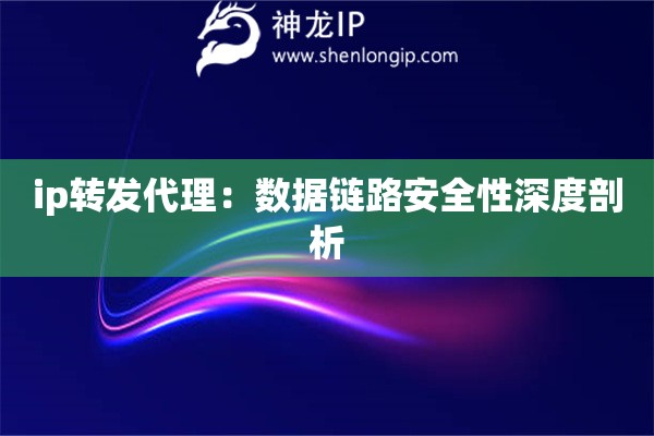 ip轉發(fā)代理：數(shù)據(jù)鏈路安全性深度剖析