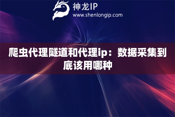 爬蟲代理隧道和代理ip：數據采集到底該用哪種