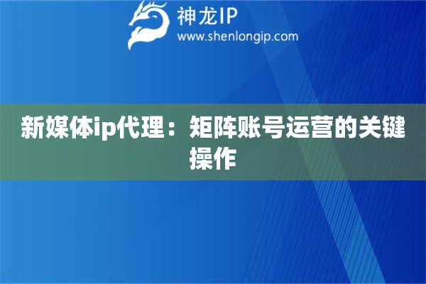 新媒體ip代理：矩陣賬號運營的關鍵操作