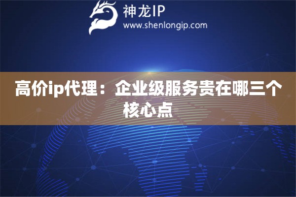 高價ip代理：企業級服務貴在哪三個核心點