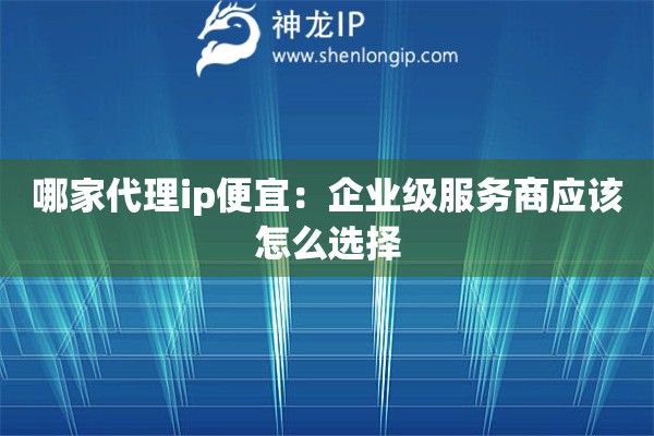 哪家代理ip便宜：企業級服務商應該怎么選擇