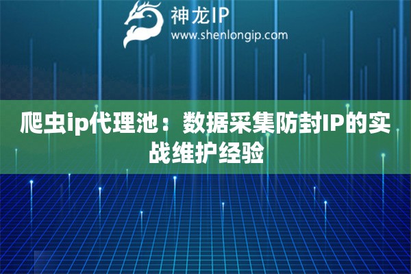 爬蟲ip代理池：數據采集防封IP的實戰維護經驗