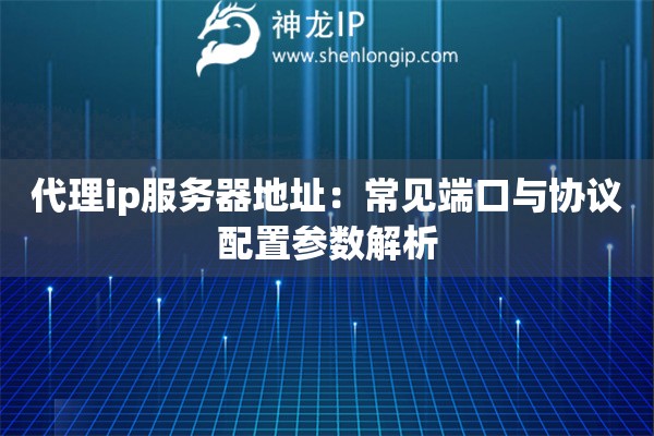 代理ip服務(wù)器地址：常見端口與協(xié)議配置參數(shù)解析