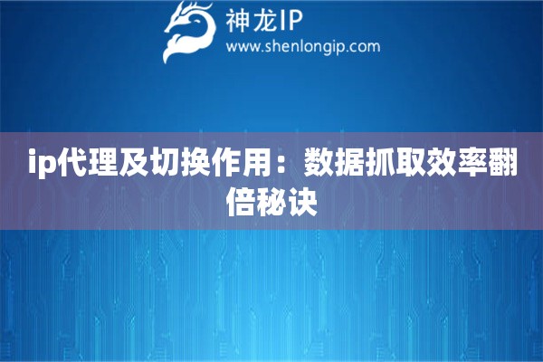ip代理及切換作用：數(shù)據(jù)抓取效率翻倍秘訣