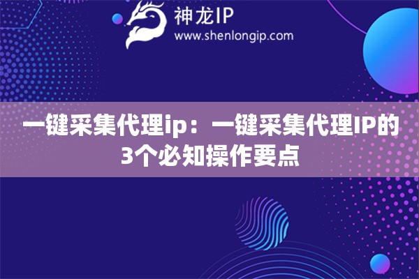 一鍵采集代理ip：一鍵采集代理IP的3個必知操作要點